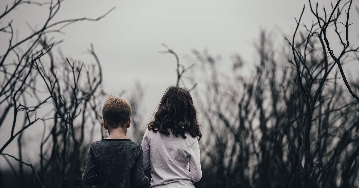 Киевские чиновники использовали детей-сирот, чтобы бежать за границу