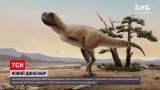 Новости мира: в Бразилии нашли 5-метрового динозавра ранее неизвестного вида