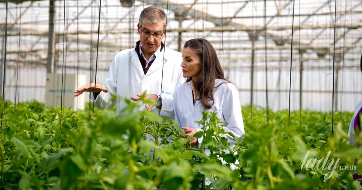 Королева Летиція