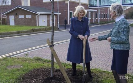 Взяла до рук лопату: герцогиня Камілла посадила дерево на честь платинового ювілею королеви Єлизавети II