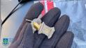 В Одесі вилучили артефакт часів Маркоманських війн Риму