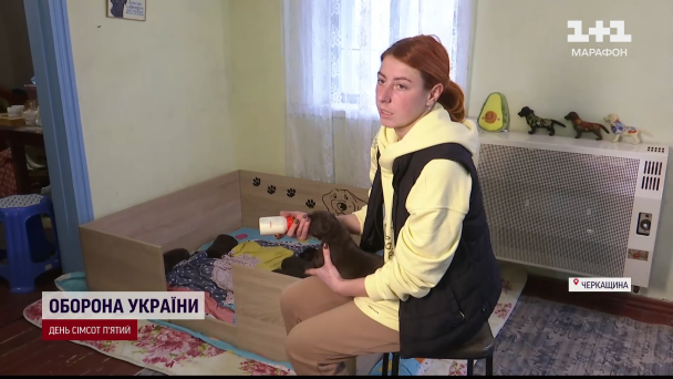 Рита Зеленська