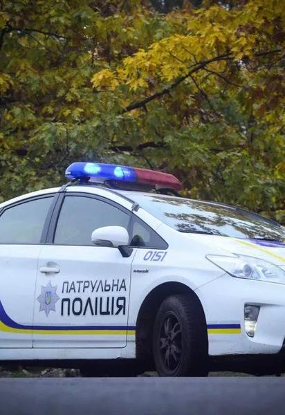 Патрульна поліція