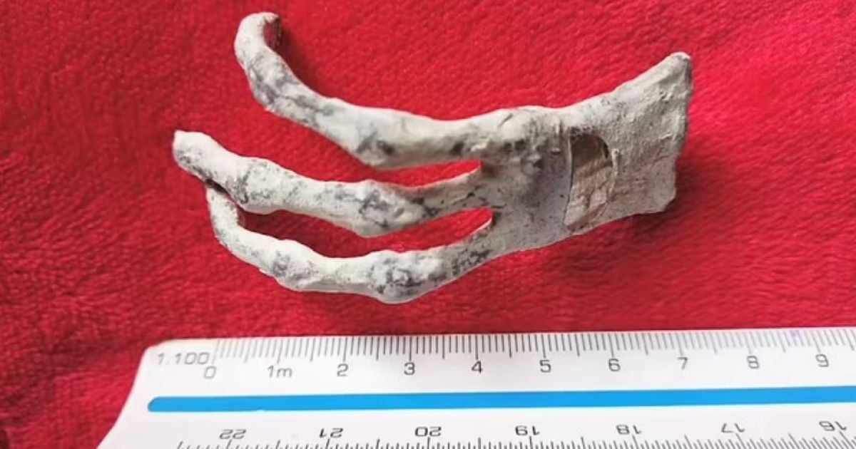 Мумии инопланетян / Фото: Zalce Benitez, Rangel and Correa