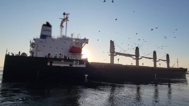 Одесский порт/Скриншот по видео Хапуга.UA