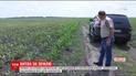 Кайдашева семья по-новому: на Киевщине кумовья не поделили 50 гектаров земли
