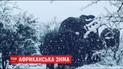 В Африці випав сніг. Заповідник замело разом з тваринами