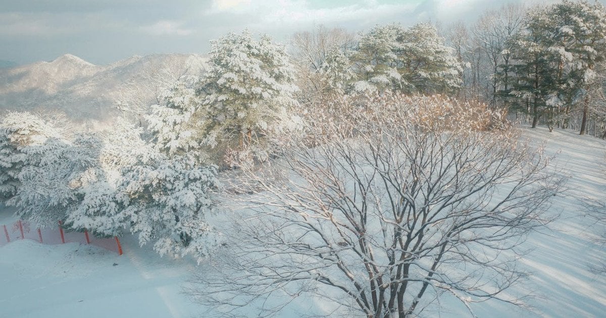 До України прийшла справжня зима