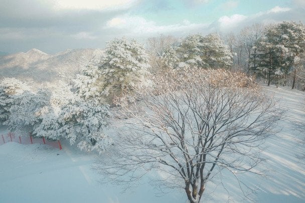 Народні прикмети 2 січня / © pexels.com