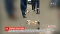 Жители Малина Житомирской области сожгли платежки за доставку газа