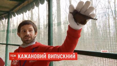 В Харькове более двух тысяч летучих мышей выпустили на свободу после длительного лечения