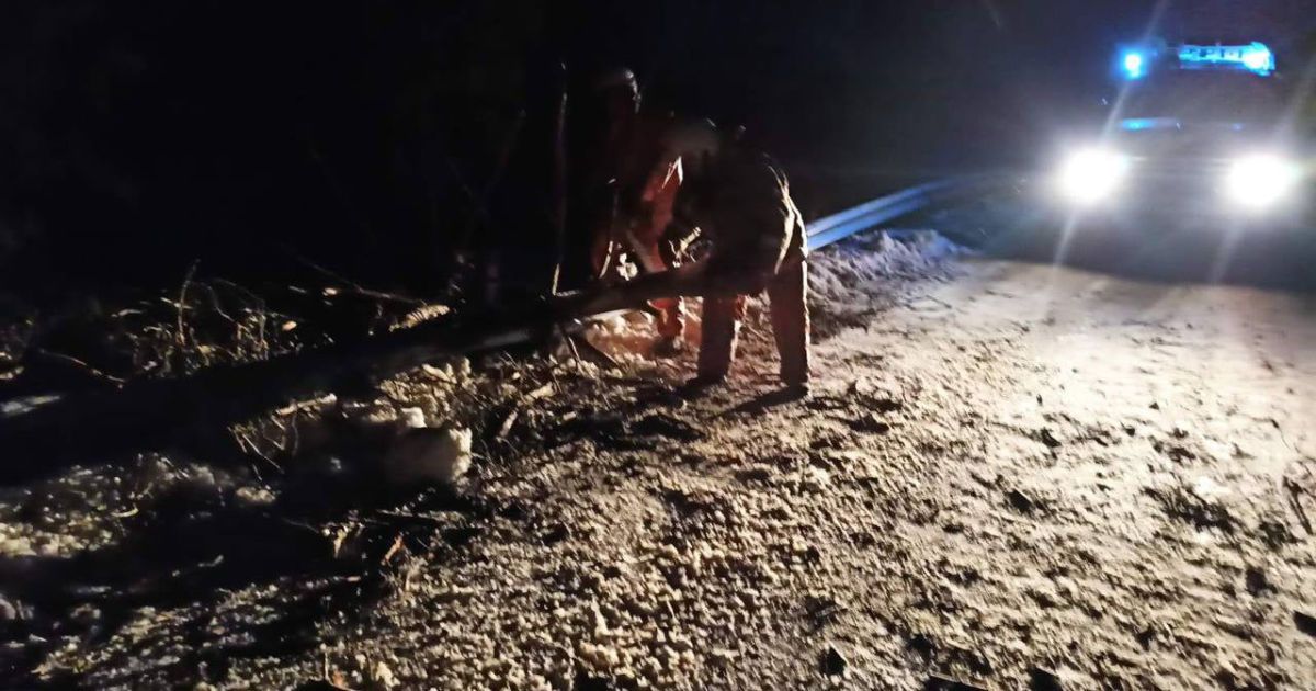 Рятувальники ліквідовують наслідки сильних поривів вітру_4 / © ГСЧС