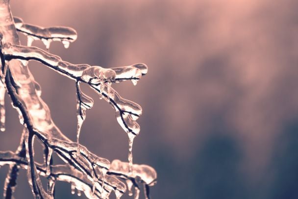 9 грудня побачити іній, то буде хороший урожай / © Pexels