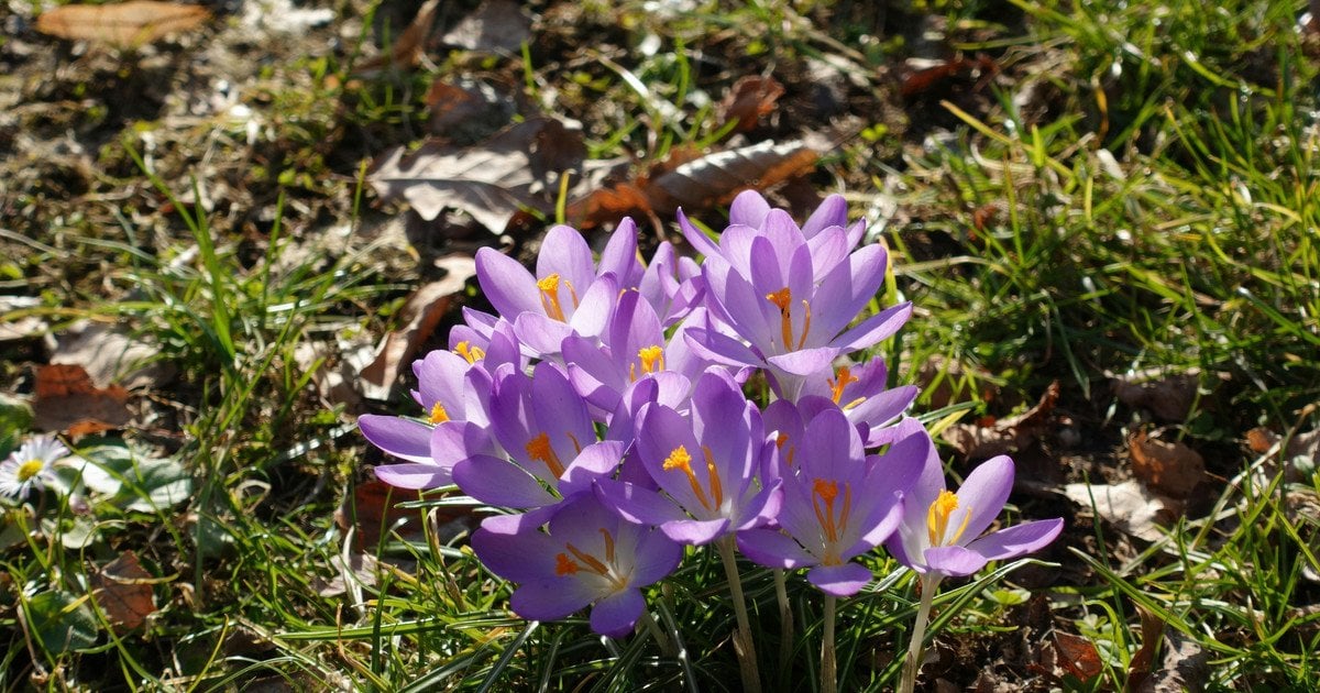 Який сьогодны, 13 квітня, день ангела