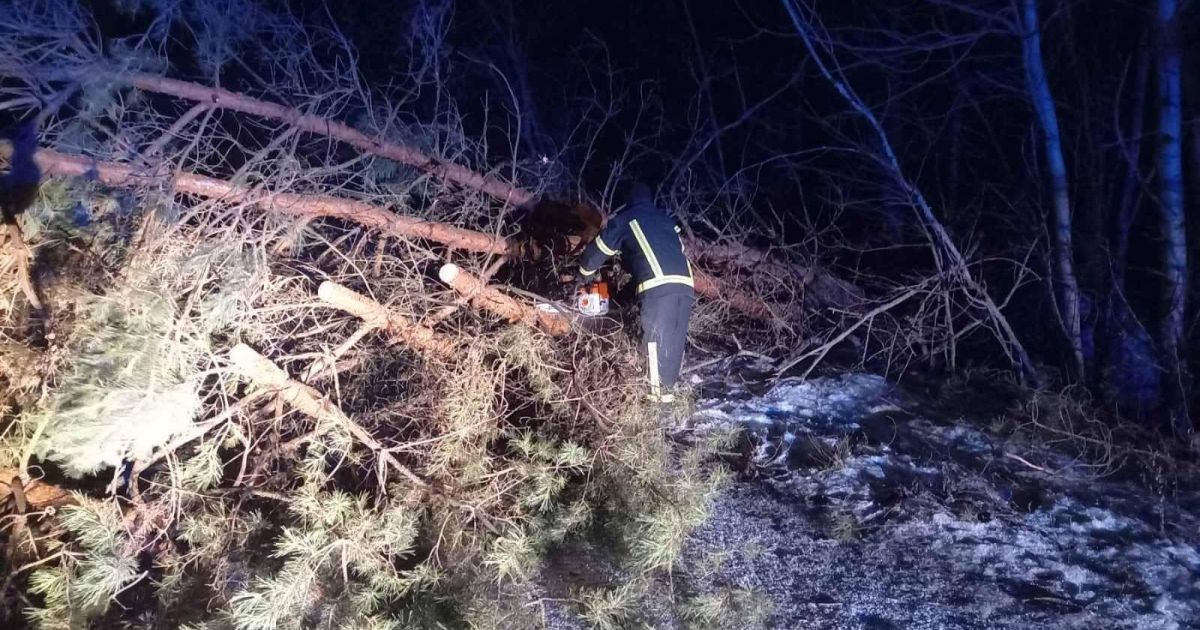 Рятувальники ліквідовують наслідки сильних поривів вітру_1 / © ГСЧС