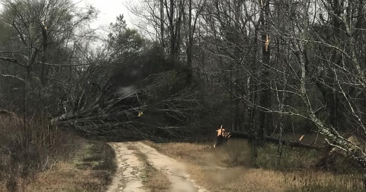 Торнадо у штаті Джорджія_3 / © Crisp Co. Sheriff's Office