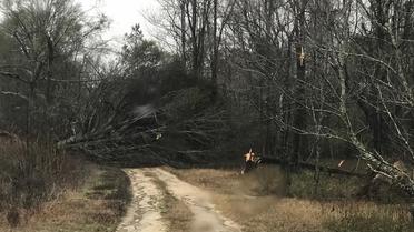 Торнадо у штаті Джорджія_3 / © Crisp Co. Sheriff's Office