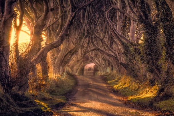  / © flickr.com