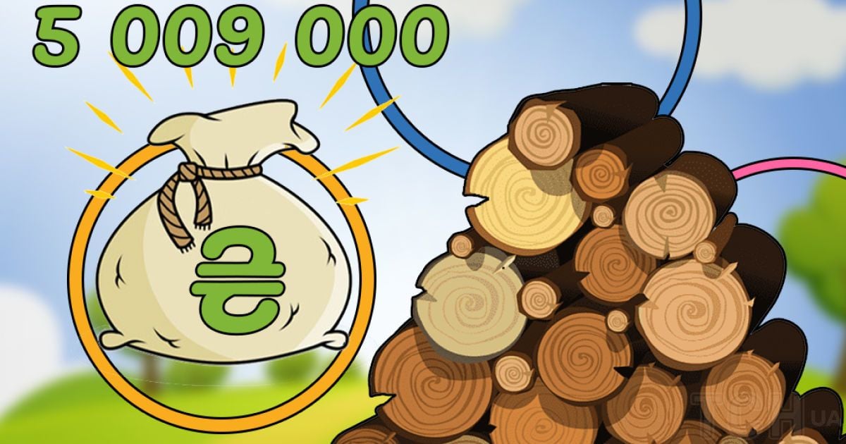 Скандальний тендер на ProZorro – держпідприємство Ліси України витратить 5 млн