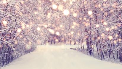 Гороскоп на 14 декабря