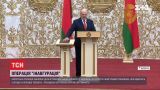 Несколько европейских стран не признали Лукашенко президентом Беларуси