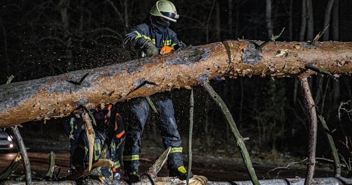 Рятувальники ліквідовують наслідки сильних поривів вітру_2 / © ГСЧС