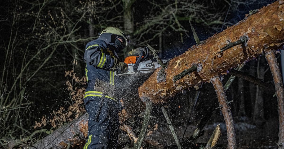 Рятувальники ліквідовують наслідки сильних поривів вітру_5 / © ГСЧС