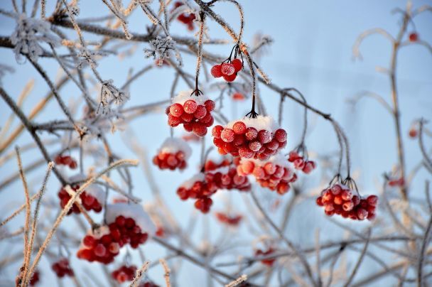 Народні прикмети 29 січня / © pixabay.com