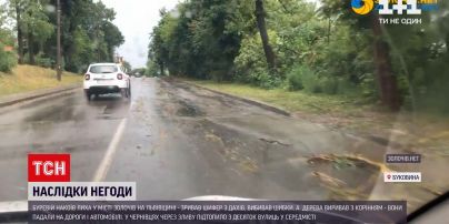 Погода в Украине: какой беды наделала непогода на западе страны