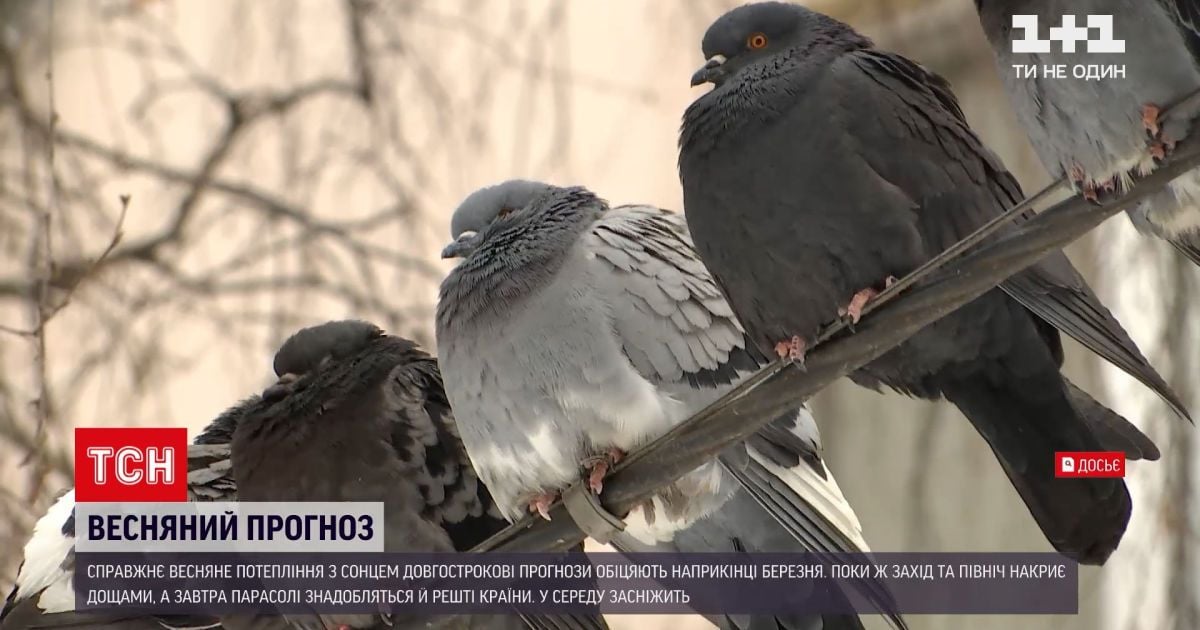 Новини України: яка погода триматиметься протягом тижня
