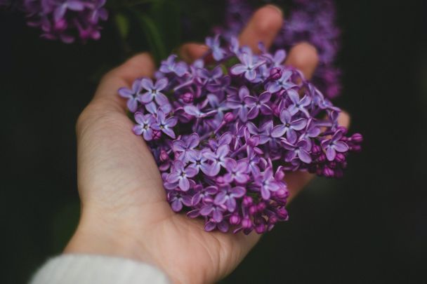 Народные приметы 9 мая / © Pexels