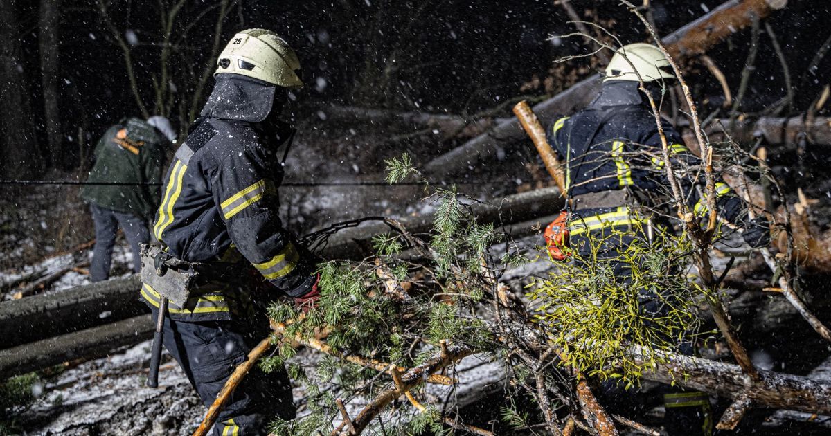 Рятувальники ліквідовують наслідки сильних поривів вітру_3 / © ГСЧС