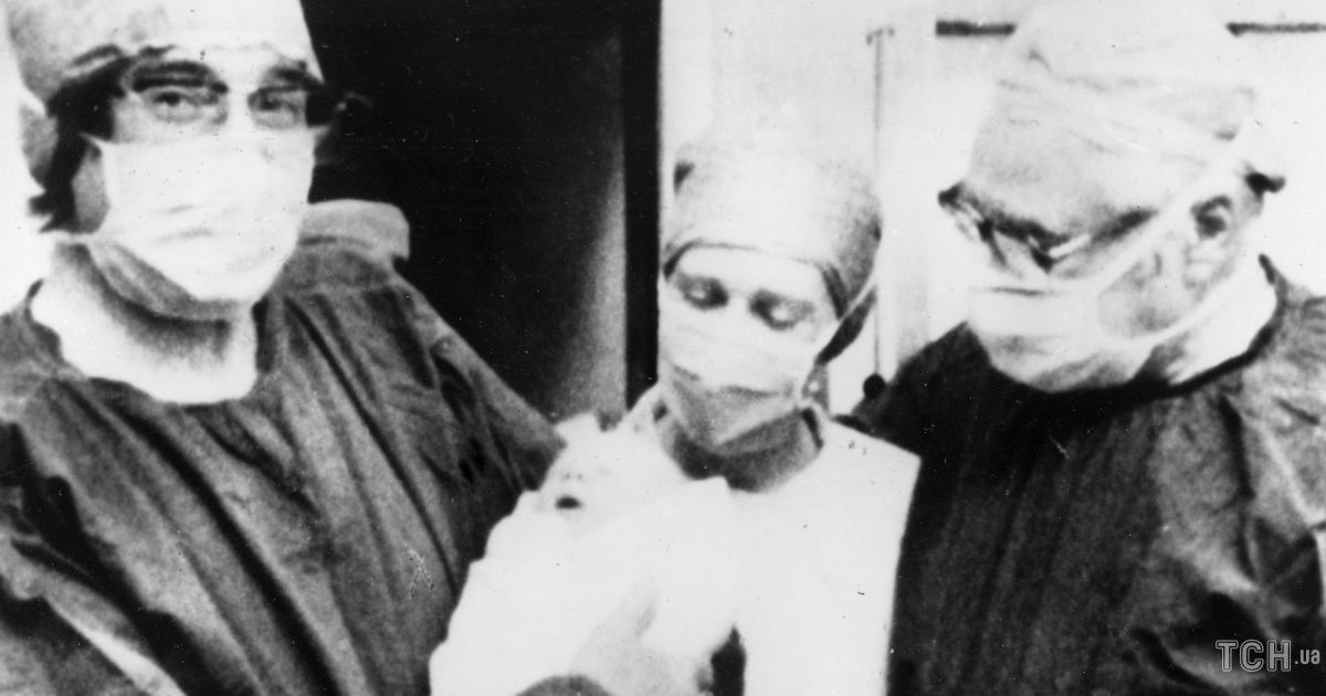 Луїза Джой Браун