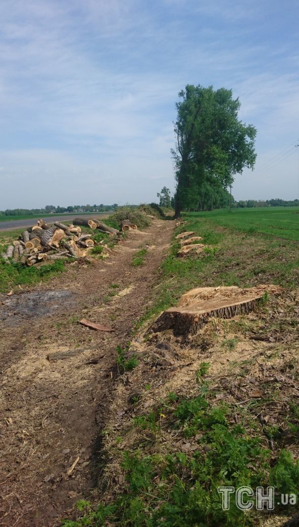 Дорога в направлении от Згурівки до Яготина / © ТСН.ua
