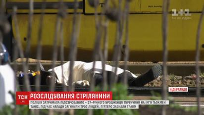 Теракт чи сімейні чвари: правоохоронці шукають причину стрілянини в Нідерландах