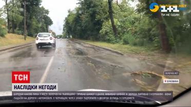 Погода в Україні: якого лиха наробила негода на заході країни