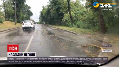 Погода в Україні: якого лиха наробила негода на заході країни