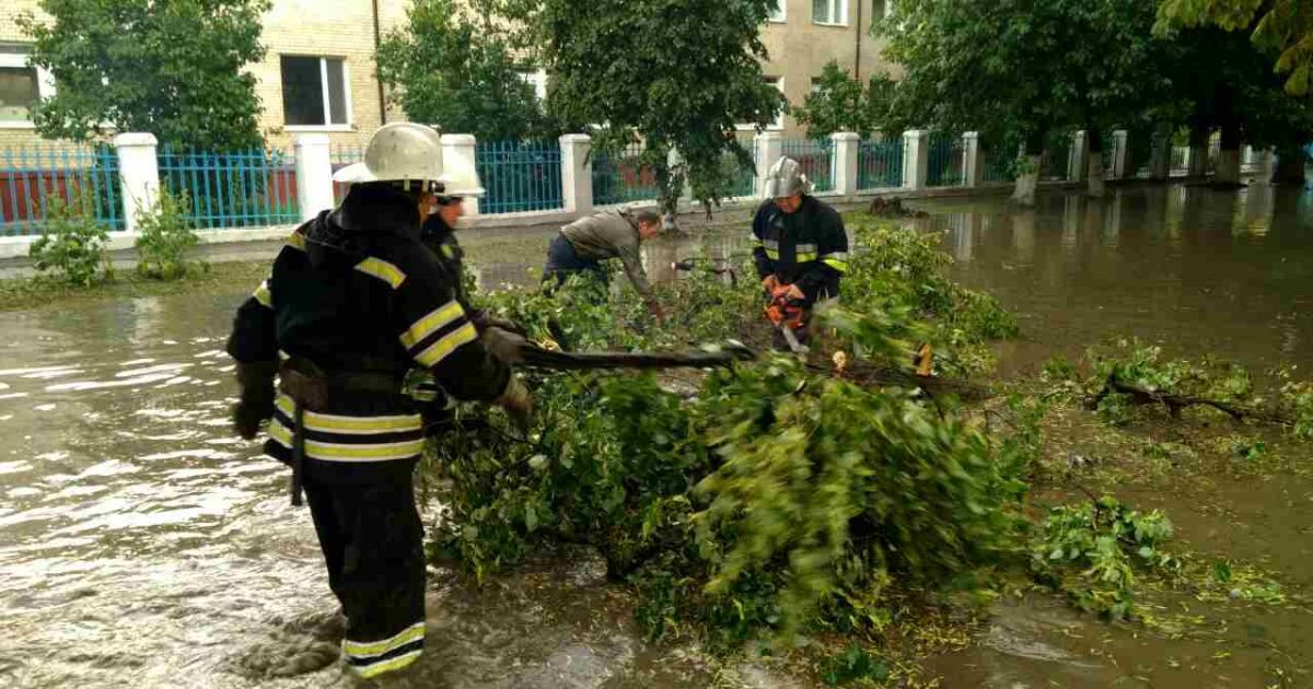 Последствия непогоды: упавшее дерево убило девушку, 86 населенных пунктов обесточены