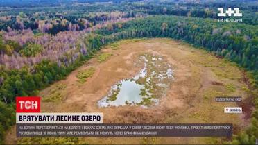 Озеро Нечимное, о котором писала Леся Украинка, почти превратилось в болото | Новости Украины