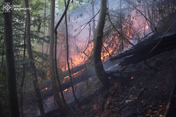 Лісова пожежа на Закарпатті