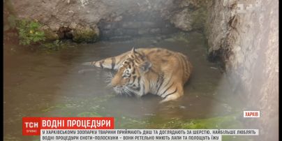 В харьковском зоопарке показали, как их воспитанники соблюдают чистоту