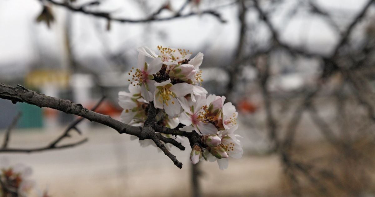 Плюс 23. В Украине началось уверенное потепление