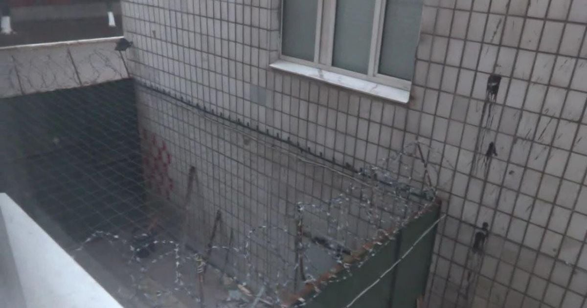 Фото: t.me/traktorist_dn