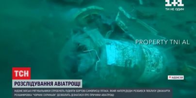 Пошуки "чорних скриньок" індонезійського лайнера, який розбився напередодні, тривають