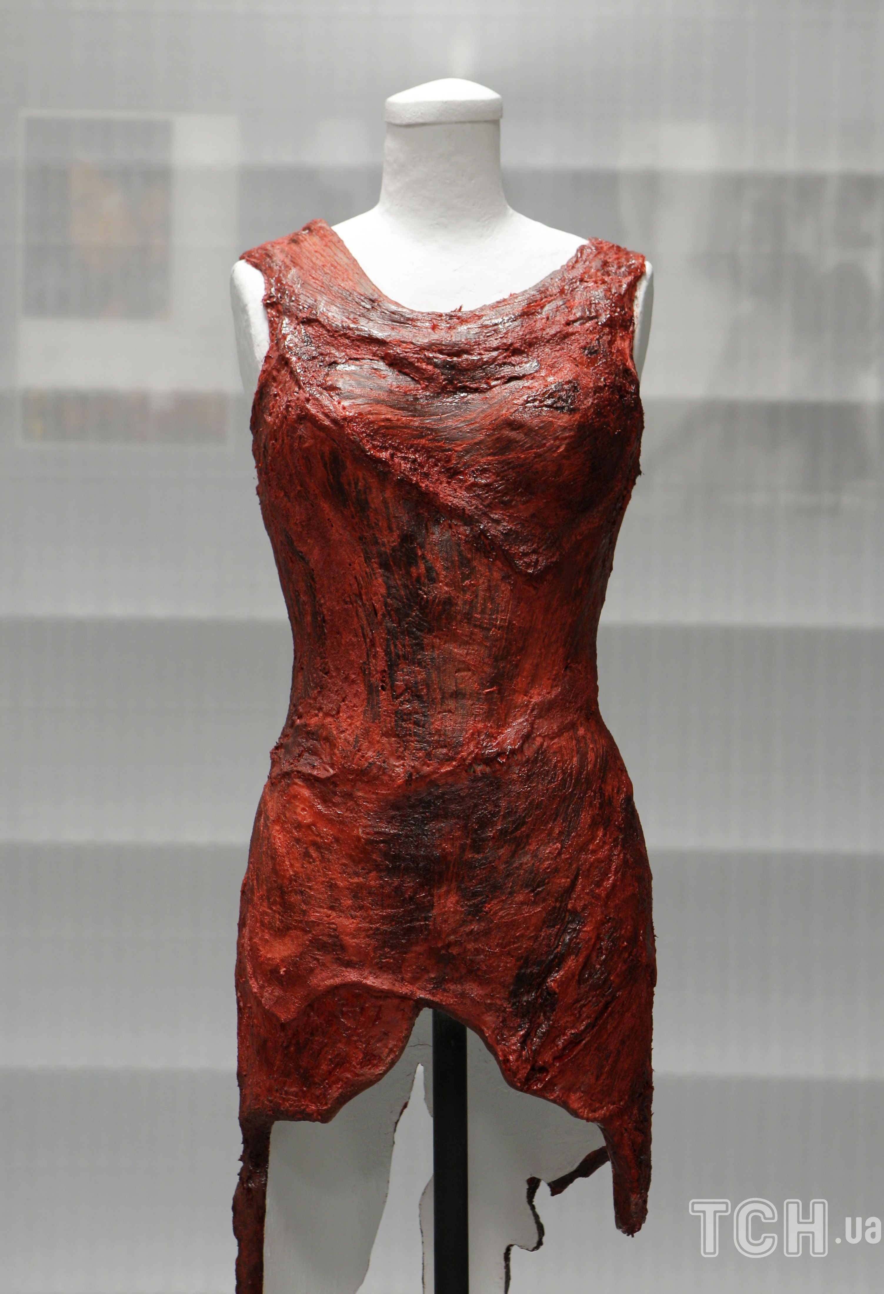 Леди Гага - мысық