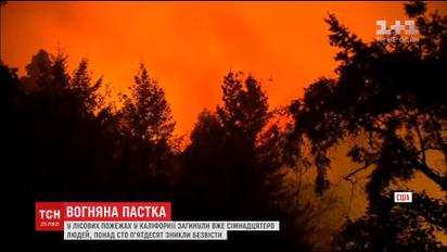 Более десяти человек погибли во время лесных пожаров в Калифорнии