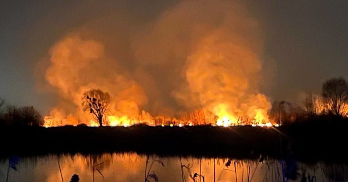 Пожежа в "Екопарку Осокорки"