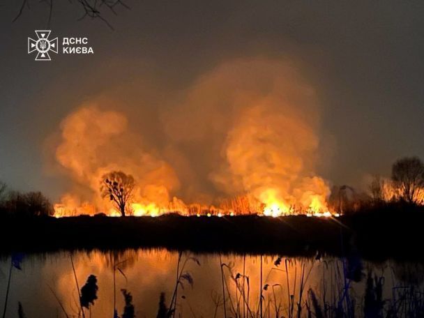 Вогонь гасили декілька годин / © Управління ДСНС Києва
