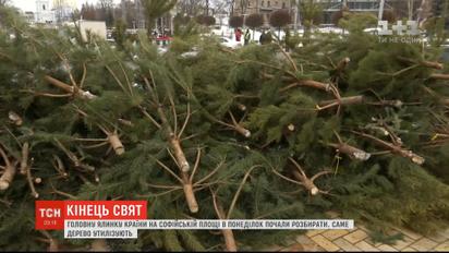 На Софийской площади начали разбирать главную елку страны