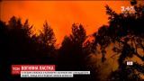 Більше десяти людей загинули під час лісових пожеж у Каліфорнії
